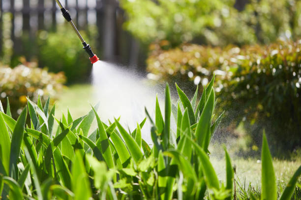 24/7 Emergency Wasp Removal experts in Biddeford, ME
