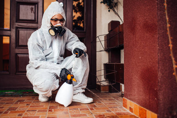 Reliable Wasp Removal contractor in Biddeford, ME by Show Me Pest Control